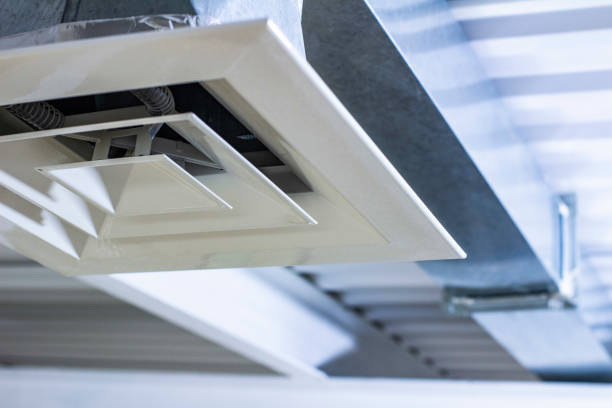 Best Air Duct Cleaning Company Near Me  in Temperance, MI