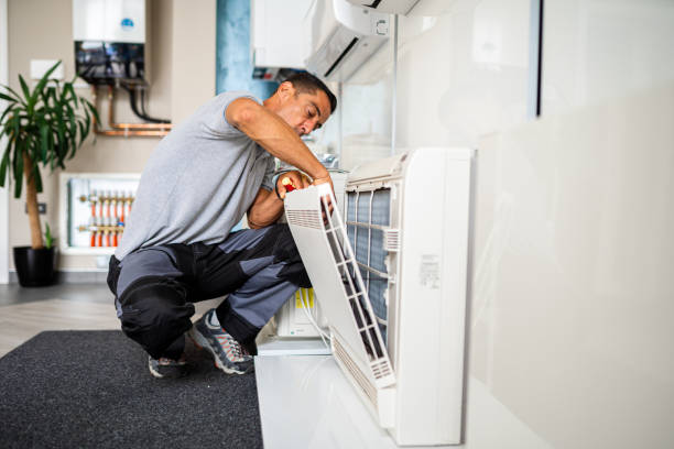 Best Air Vent Cleaning Services  in Temperance, MI
