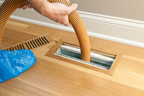 Best Air Duct Mold Removal  in Temperance, MI
