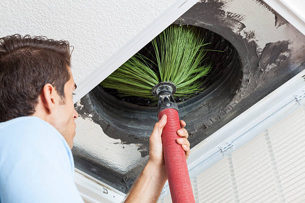 Best Affordable Air Duct Cleaning  in Temperance, MI
