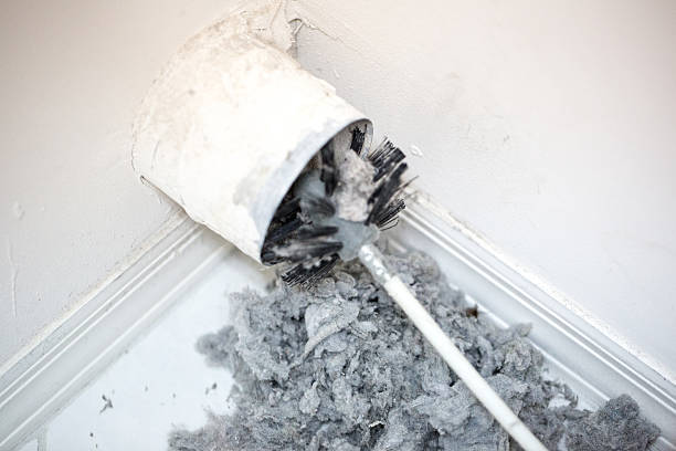 Air Duct Mold Removal in MI
